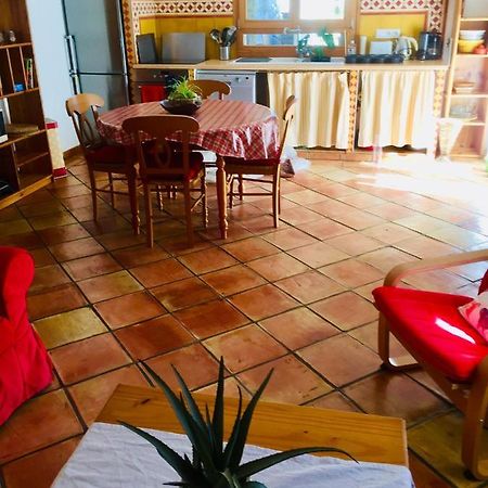 Rez De Jardin De Chalet Bois , Calme Et Verdure ! Сен-Мартен-Везюби Экстерьер фото
