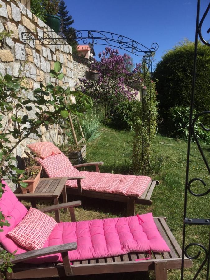 Rez De Jardin De Chalet Bois , Calme Et Verdure ! Сен-Мартен-Везюби Экстерьер фото